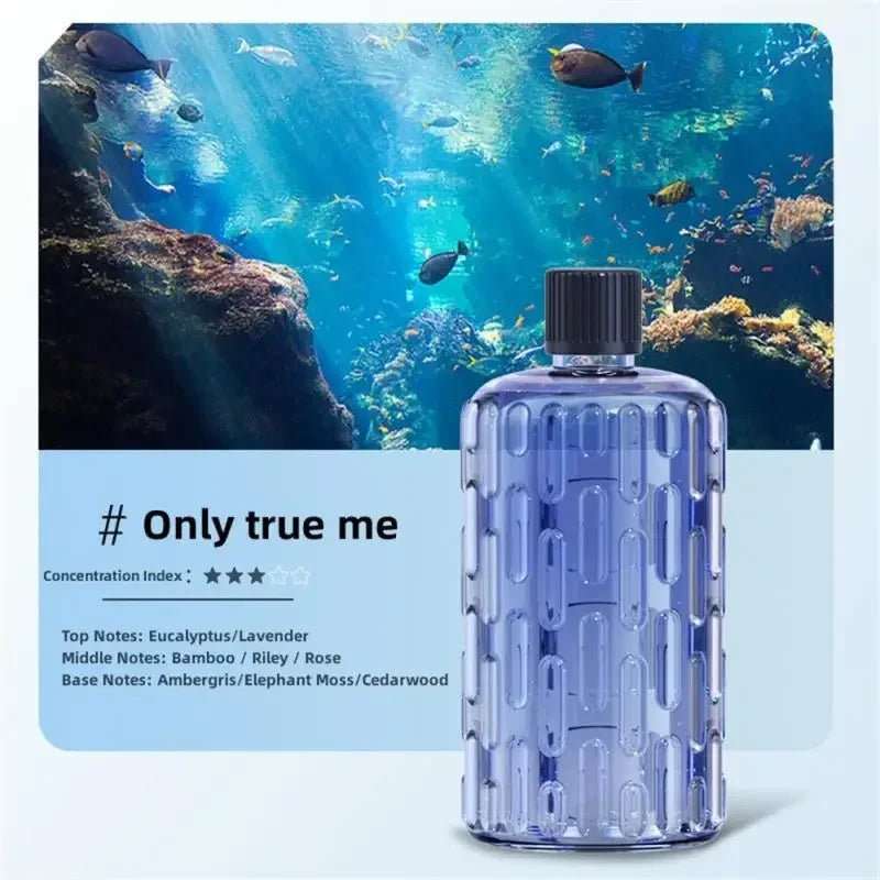 Ultrasonic Aromatherapy Air Freshener